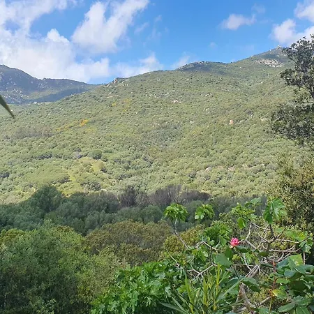 Chez Aldo Ajaccio (Corsica)